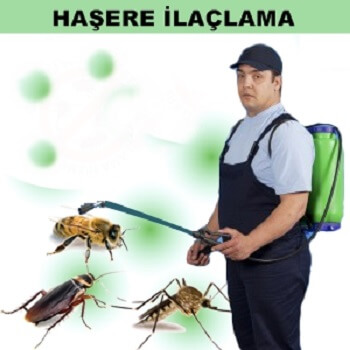 Arsuz Böcek İlaçlama